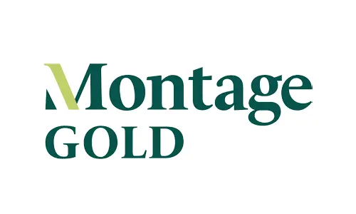 Montage Gold