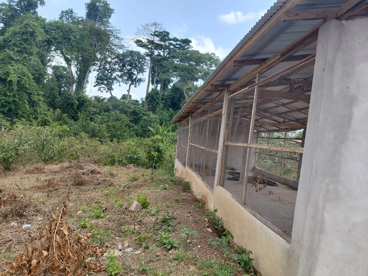 Encadrement des projets AGR/PRMS, Zouan-Hounien