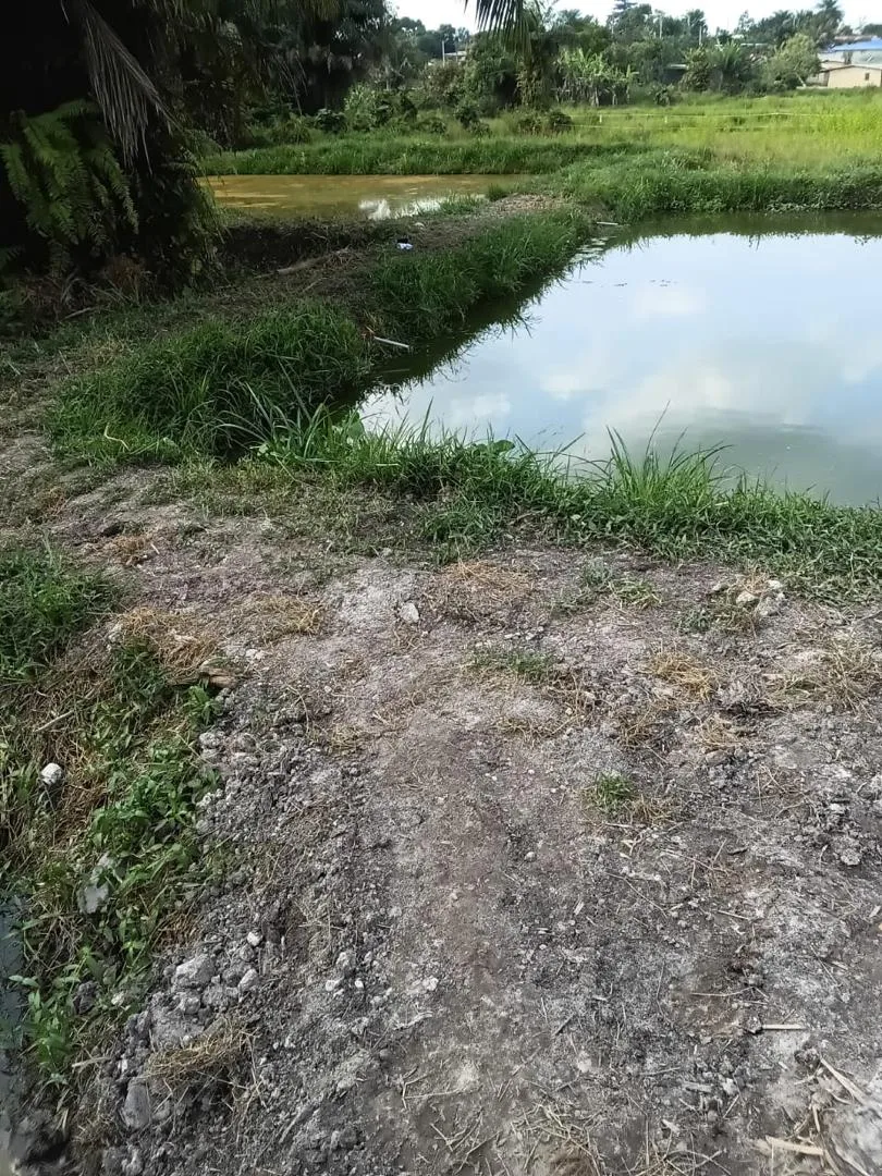 Fermes piscicoles 3