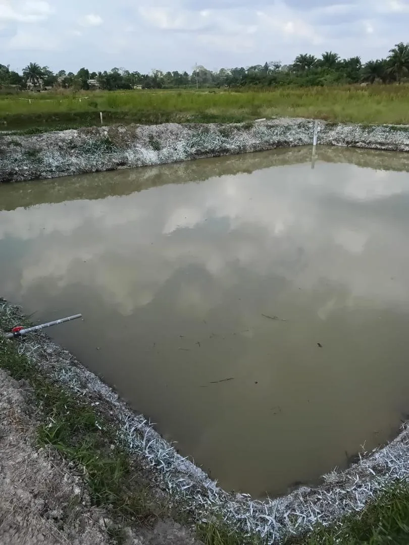 Fermes piscicoles 4