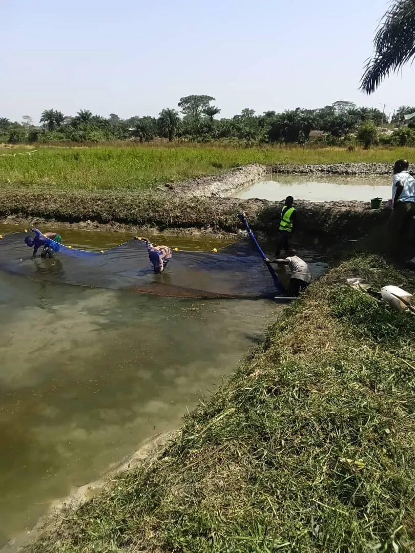 Fermes piscicoles 6