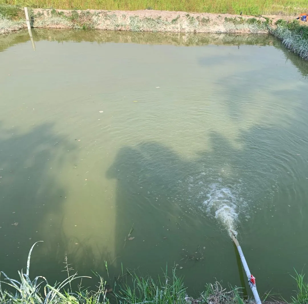 Fermes piscicoles 8