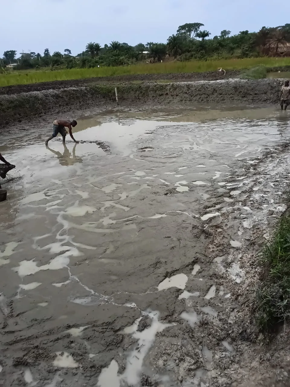 Fermes piscicoles 12